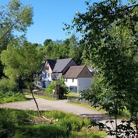 Naturferienhaus Luppbodemuhle Allrode Dış mekan fotoğraf