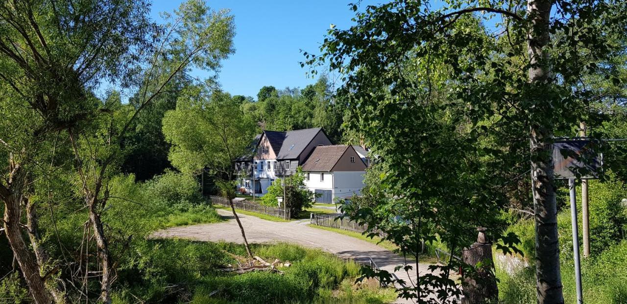 Naturferienhaus Luppbodemuhle Allrode Dış mekan fotoğraf