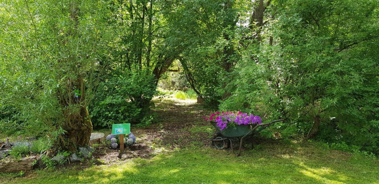 Naturferienhaus Luppbodemuhle Allrode Dış mekan fotoğraf