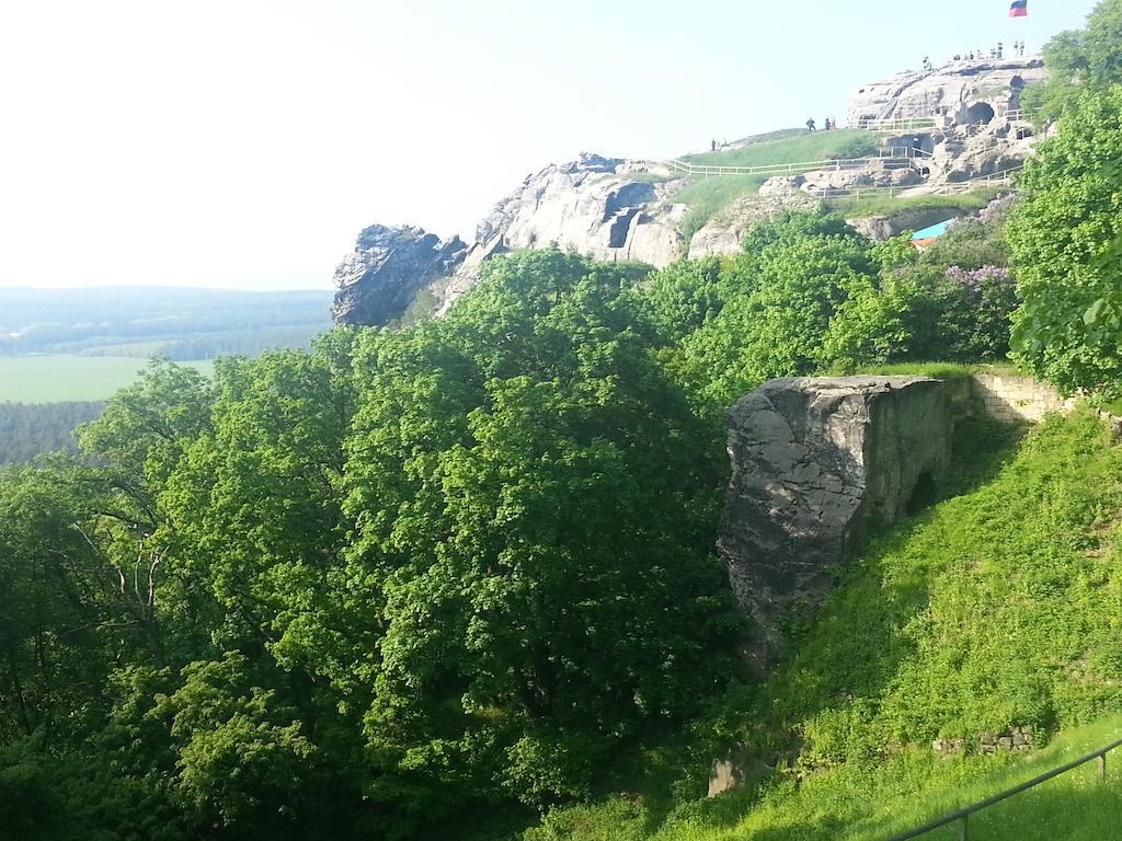 Naturferienhaus Luppbodemuhle Allrode Dış mekan fotoğraf