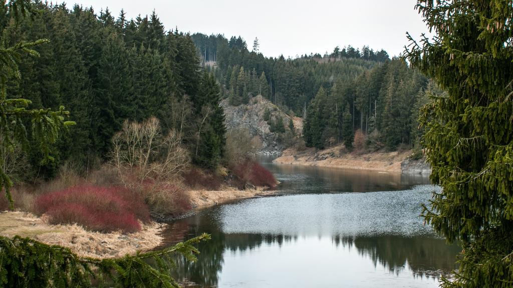 Naturferienhaus Luppbodemuhle Allrode Dış mekan fotoğraf