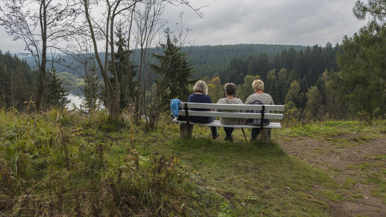 Naturferienhaus Luppbodemuhle Allrode Dış mekan fotoğraf